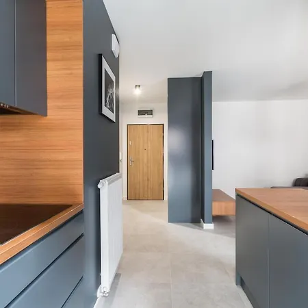 Luksusowy Przy Targach Apartmán Poznaň