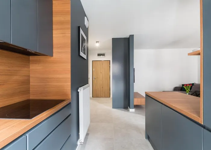 Luksusowy Przy Targach Apartamento Poznan